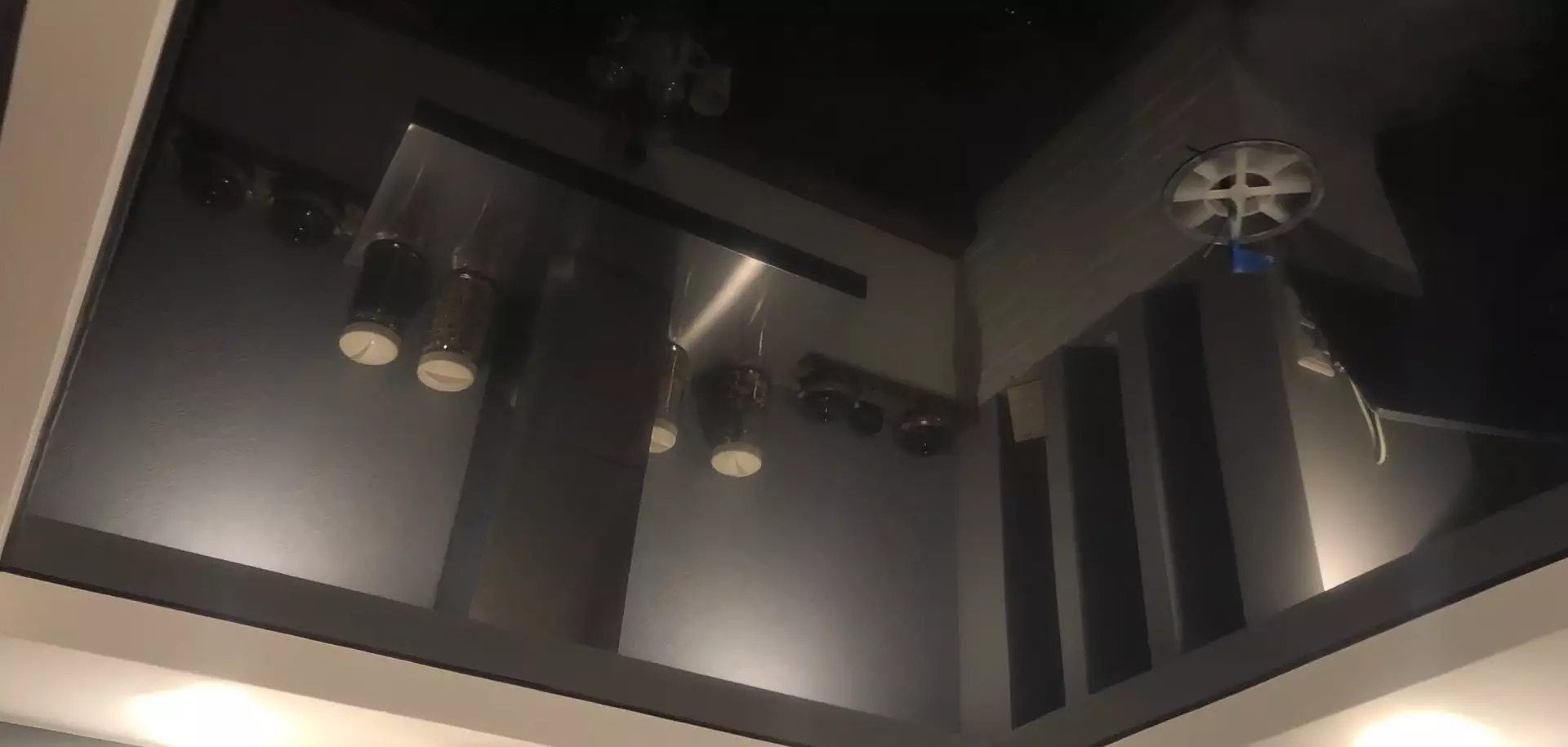 Архангельск, Розы Люксембург, 3, фото 1