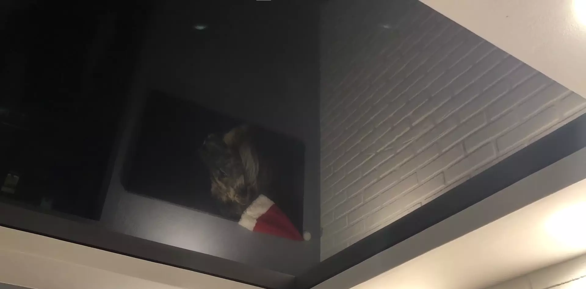 Архангельск, Розы Люксембург, 3, фото 3